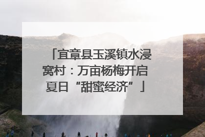 宜章县玉溪镇水浸窝村：万亩杨梅开启夏日“甜蜜经济”