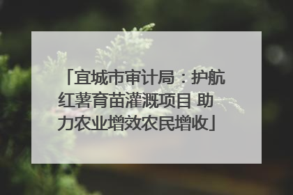 宜城市审计局：护航红薯育苗灌溉项目 助力农业增效农民增收