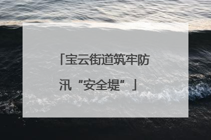 宝云街道筑牢防汛“安全堤”
