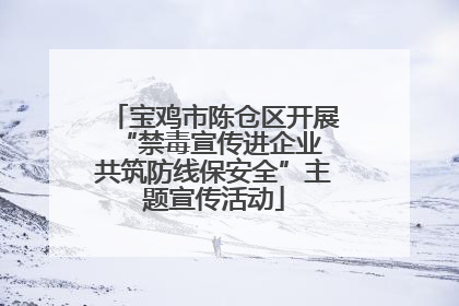 宝鸡市陈仓区开展“禁毒宣传进企业 共筑防线保安全”主题宣传活动