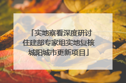 实地察看深度研讨 住建部专家组实地复核城阳城市更新项目