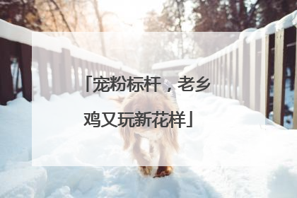 宠粉标杆，老乡鸡又玩新花样