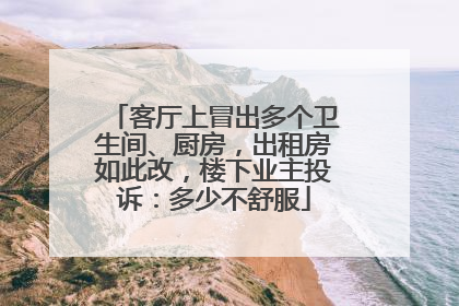 客厅上冒出多个卫生间、厨房，出租房如此改，楼下业主投诉：多少不舒服