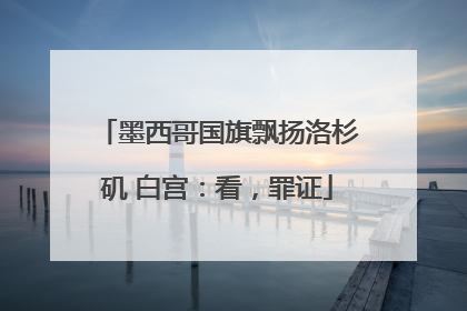 墨西哥国旗飘扬洛杉矶 白宫：看，罪证