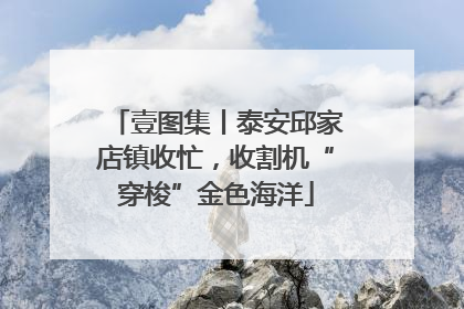 壹图集丨泰安邱家店镇收忙，收割机“穿梭”金色海洋