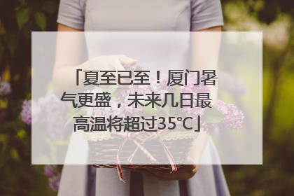 夏至已至！厦门暑气更盛，未来几日最高温将超过35℃