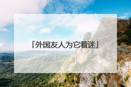 外国友人为它着迷
