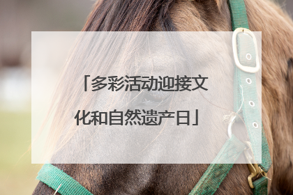多彩活动迎接文化和自然遗产日
