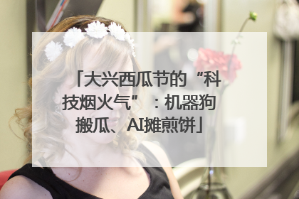 大兴西瓜节的“科技烟火气”：机器狗搬瓜、AI摊煎饼