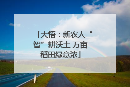 大悟：新农人“智”耕沃土 万亩稻田绿意浓