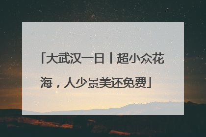 大武汉一日丨超小众花海，人少景美还免费