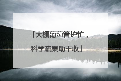 大棚葡萄管护忙，科学疏果助丰收
