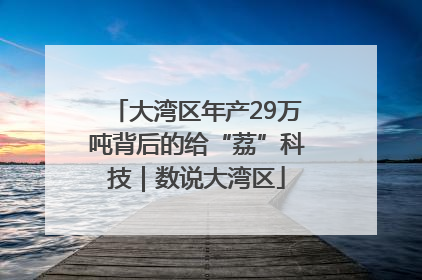 大湾区年产29万吨背后的给“荔”科技｜数说大湾区