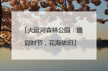 大运河森林公园：盛夏时节，花海依旧