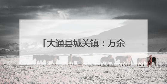 大通县城关镇：万余村民迎来“幸福田”
