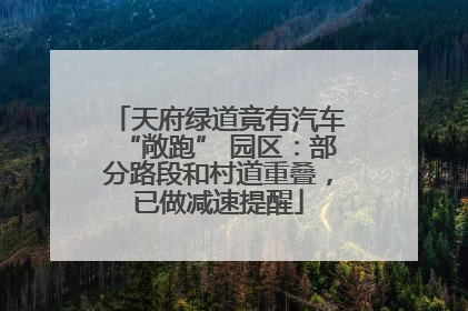 天府绿道竟有汽车“敞跑” 园区：部分路段和村道重叠，已做减速提醒