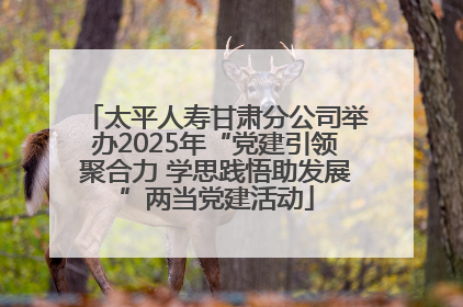 太平人寿甘肃分公司举办2025年“党建引领聚合力 学思践悟助发展”两当党建活动