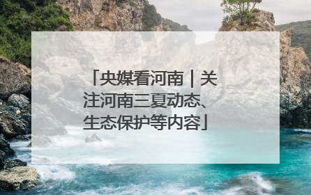 央媒看河南｜关注河南三夏动态、生态保护等内容