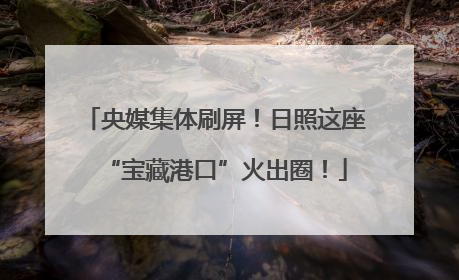 央媒集体刷屏！日照这座“宝藏港口”火出圈！