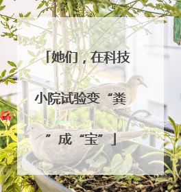 她们，在科技小院试验变“粪”成“宝”