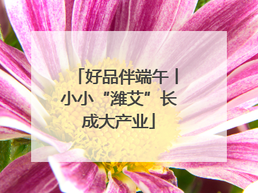 好品伴端午丨小小“潍艾”长成大产业