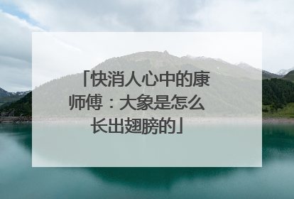快消人心中的康师傅：大象是怎么长出翅膀的