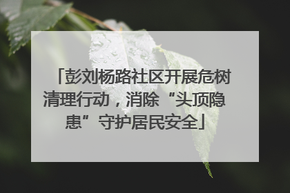 彭刘杨路社区开展危树清理行动，消除“头顶隐患”守护居民安全