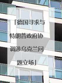 德国寻求与特朗普政府协调涉乌克兰问题立场