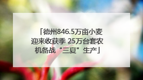 德州846.5万亩小麦迎来收获季 25万台套农机备战“三夏”生产