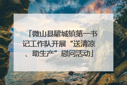 微山县驩城镇第一书记工作队开展“送清凉、助生产”慰问活动