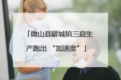 微山县驩城镇三夏生产跑出 “加速度”