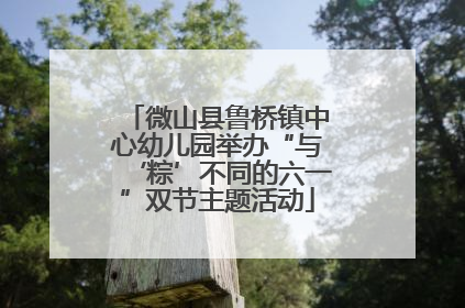 微山县鲁桥镇中心幼儿园举办“与‘粽’不同的六一”双节主题活动