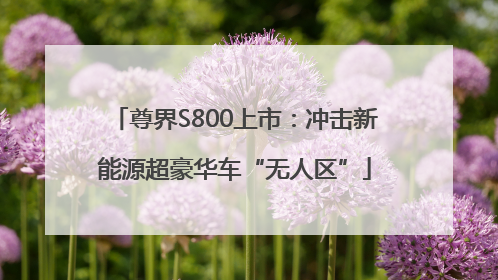 尊界S800上市：冲击新能源超豪华车“无人区”