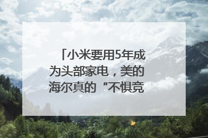 小米要用5年成为头部家电，美的海尔真的“不惧竞争”？｜热财经