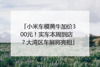 小米车模黄牛加价300元！实车本周到店？大湾区车展将亮相