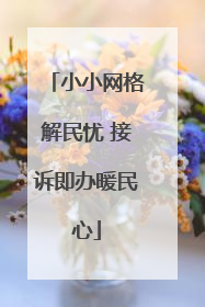 小小网格解民忧 接诉即办暖民心