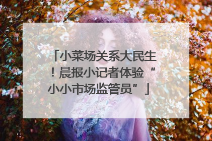 小菜场关系大民生！晨报小记者体验“小小市场监管员”