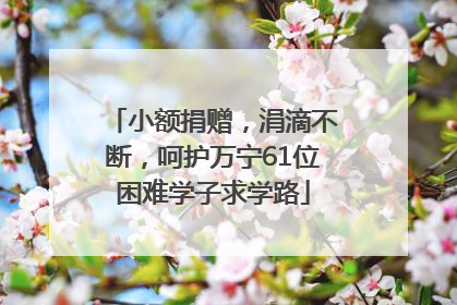 小额捐赠，涓滴不断，呵护万宁61位困难学子求学路