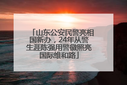 山东公安民警亮相国新办，24年从警生涯陈强用警徽照亮国际维和路
