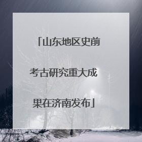 山东地区史前考古研究重大成果在济南发布