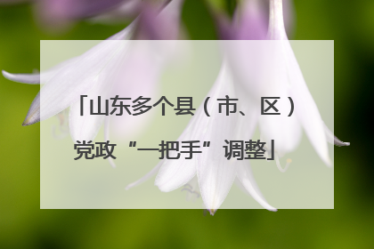 山东多个县（市、区）党政“一把手”调整