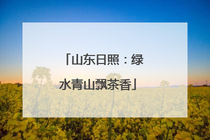 山东日照：绿水青山飘茶香