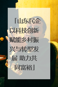 山东民企以科技创新赋能乡村振兴与转型发展 助力共同富裕