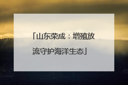 山东荣成：增殖放流守护海洋生态