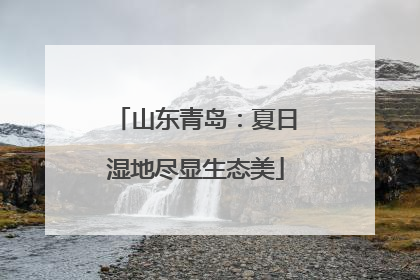 山东青岛：夏日湿地尽显生态美