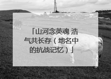 山河念英魂 浩气共长存（地名中的抗战记忆）