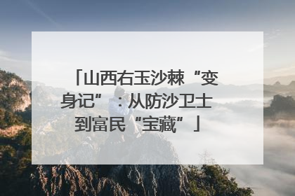 山西右玉沙棘“变身记”：从防沙卫士到富民“宝藏”