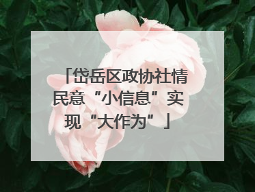 岱岳区政协社情民意“小信息”实现“大作为”