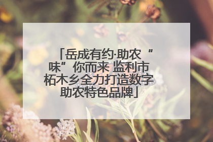 岳成有约·助农“味”你而来 监利市柘木乡全力打造数字助农特色品牌