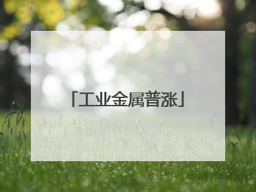 工业金属普涨